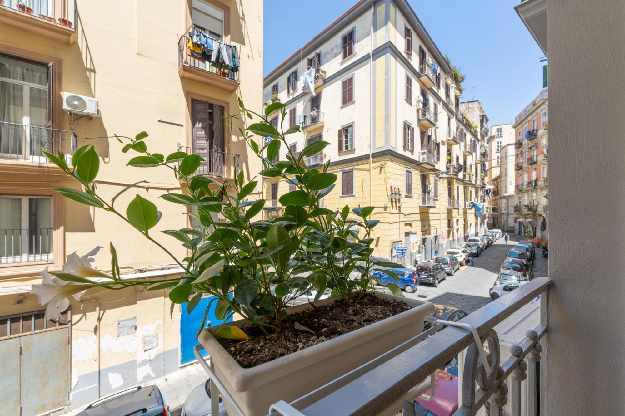 Relais Sole Maison d'hôtes Naples